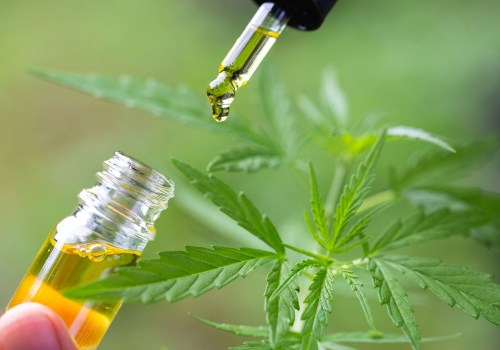 3 Different Types of CBD: What You Need to Know